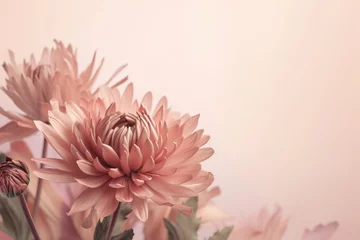 Wall murals Flowers  a bunch of flowers that are in a vase on a table with a pink wall in the background and a light pink wall in the background.  generative ai