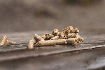 Tierparkfutter auf einer Bank