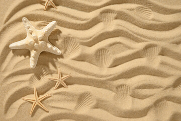 Fototapeta na wymiar Seashells and starfishes on sandy beach background. Summer vacation. Top view. Copy space. Banner.