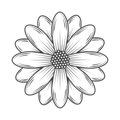 flower icon isolated