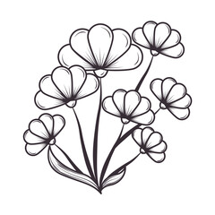 flowers leaf nature and botanical