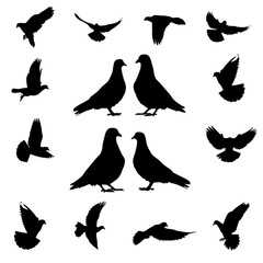 silhouettes of pigeons, set of  pigeons, pigeons icon set,
