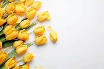  a bunch of yellow tulips on a white background with a place for a text or a picture or a picture or a picture.  generative ai - obrazy, fototapety, plakaty
