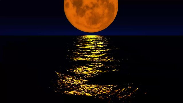 Ocean at Night Harvest Moon Background Loop