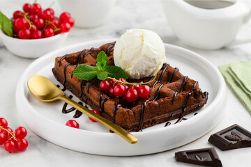 Chocolate waffle with dark chocolate sauce and a scoop of ice cream on a white plate. Selective focus