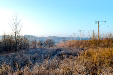 Frost on the grass of a meadow in the countryside