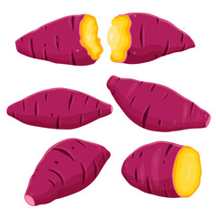 Illustration of whole sweet potato and sweet potato cut in half A smoked yamVector eps 10.