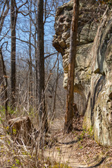 Indian Creek Trail