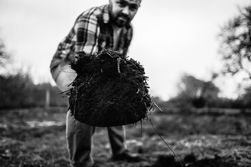 Earth on a shovel. The gardener digs the soil with a shovel in the garden in spring, black soil on...
