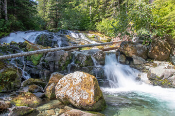 waterfall in the forest