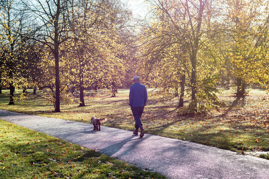 Balade dans le parc