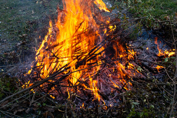 Burning branches in the garden. Red flames. Controlled burn. Close up.