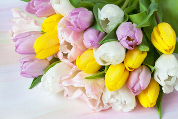 Bouquet of pink, white, yellow and purple tulips close-up on colorful watercolor paper background, beautiful postcard.