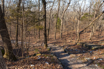 Giant City Nature Trail.