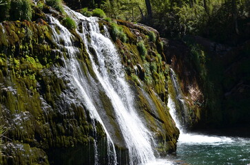 waterfall in the forest, Cascadas Ñivinco