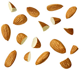 almond nut food healthy organic natural ingredient snack isolated seed brown fruit closeup nutrition group