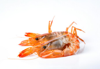 Fresh cooked shrimp isolated on white background. Seafood. generative AI