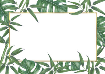 Bamboo forest and monstera frame.