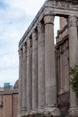 Detail of columns of Temple of Antoninus and Faustina located in Roman Forum, Rome, Italy.