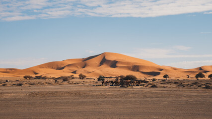 Fototapeta na wymiar Morocco Sahara Desert