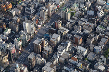 Panoramic aerial view of Tokyo, Japan. Tokyo urban city view from above