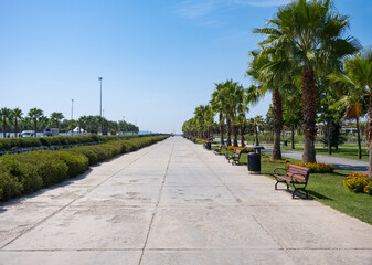 Empty road in city park. Walking area by seaside with wooden bench. Palm trees and blue sky background