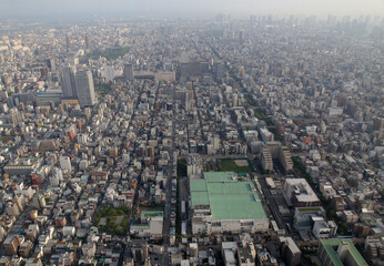 Fototapeta na wymiar Panoramic aerial view of Tokyo, Japan. Tokyo urban city view from above