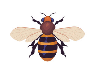 bee icon isolated