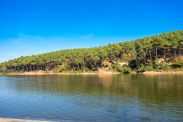 Beautiful lake in natural forest on summer landscape. Clear green water and amazing blue sky. Aydos forest lake landscape in Istanbul, Turkey