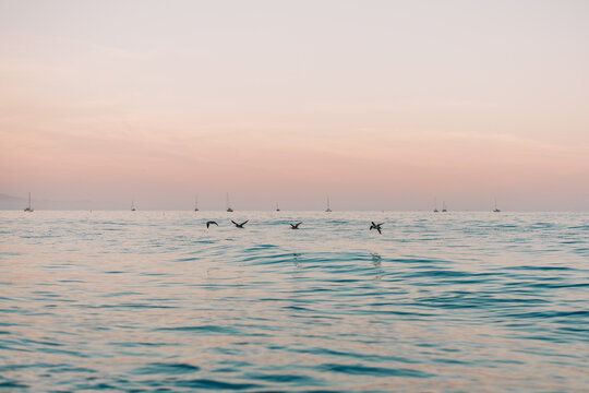 California Beach Sunset