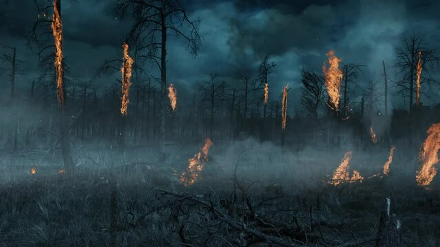 Burning Trees with Storm Clouded Sky 4K features a burnt area of a pine forest with some of the trees still on fire with a stormy lightning filled sky in the background.