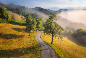 Aerial view of rural road in mountains in summer foggy morning. Nature. Landscape with road, green trees and grass on the hill in fog, sky with low clouds at sunrise in Slovenia. Top view of roadway