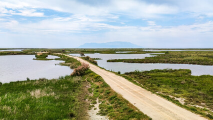 Fototapeta na wymiar Important wetland National Park Delta Evros in Thrace Greece near to Feres and Alexandroupolis.