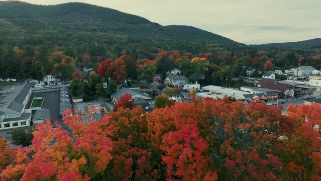 Autumn foliage aerial view in Lake George