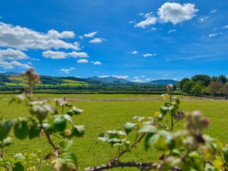 Idyllic green field with mountains in the background