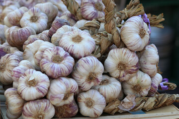 Garlic on the street market