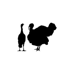 Pair of Turkey Silhouette for Art Illustration, Pictogram or Graphic Design Element. The Turkey is a large bird in the genus Meleagris. Vector Illustration

