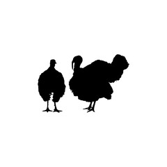 Pair of Turkey Silhouette for Art Illustration, Pictogram or Graphic Design Element. The Turkey is a large bird in the genus Meleagris. Vector Illustration
