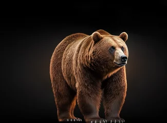 Fototapeten brown bear stands on its hind legs and the second looks at it on a white backgroundbrown bear isolated on black background © Witri