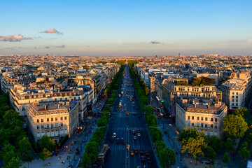 Fototapeta na wymiar Avenue des Champs-elysees , Europe, France, Ile de France, Paris, in summer, on a sunny day.