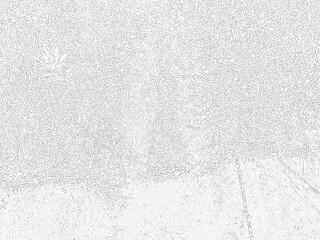 white image of my shadow