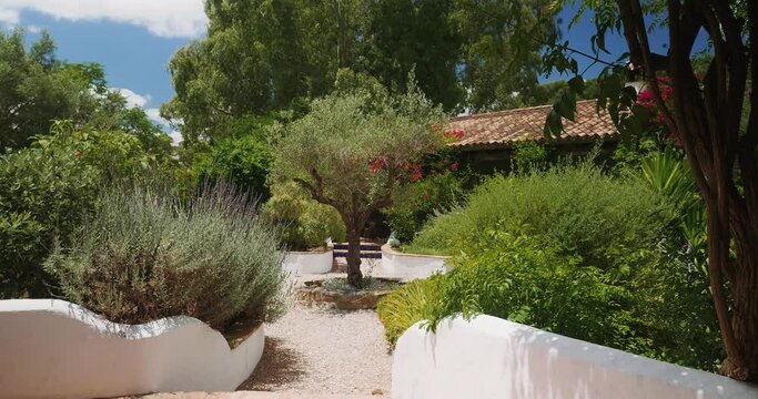 Growing trees and flowers in backyard of Italian house