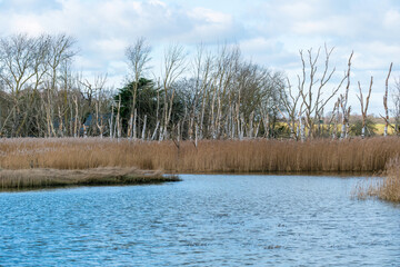 Hazlewood Marshes Nature Reserve