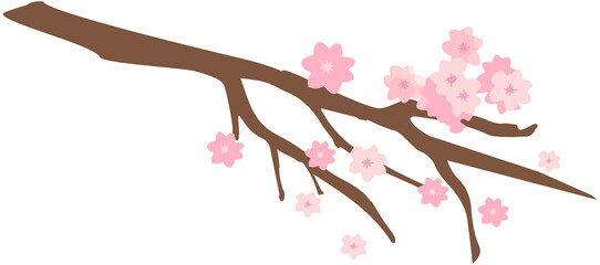 Sakura  Branch 