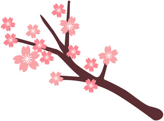 Cherry  Blossom lcon