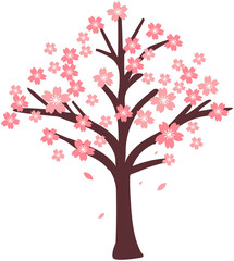 Cherry  Blossom Tree  Illustration