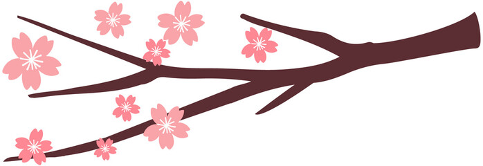 Cherry  Blossoms lcon Design