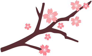 Cherry  Blossoms lcon Design