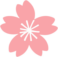Cherry  blossoms  vector