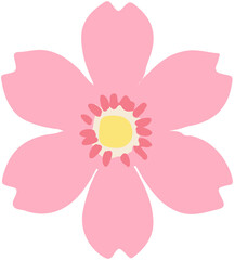 Cherry  blossoms  vector 